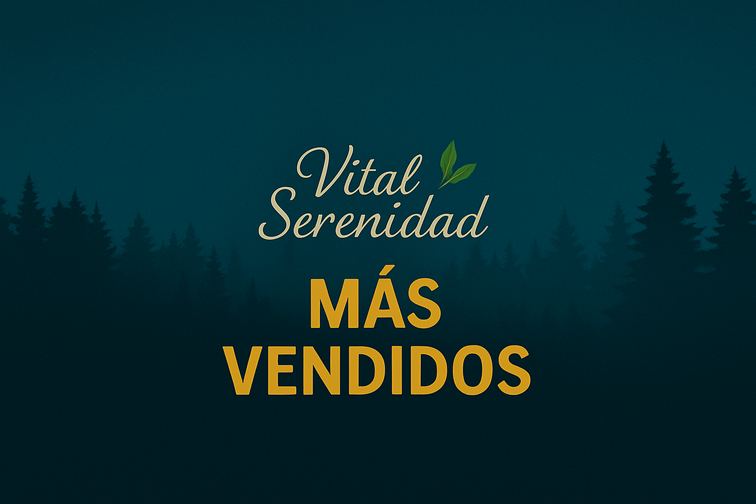 Más vendidos 🚚📦